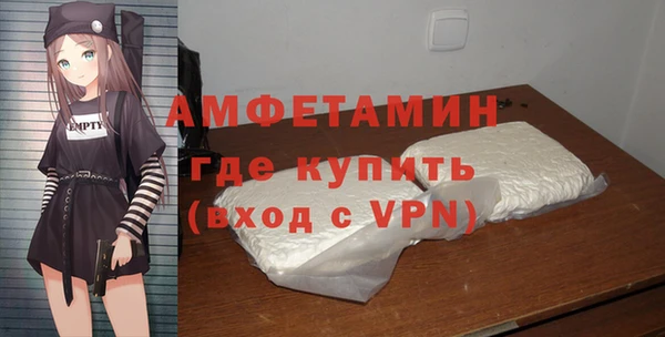 дживик Богородицк