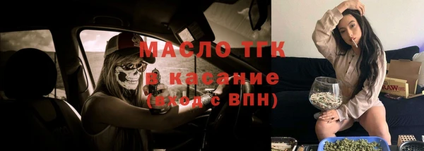 дживик Богородицк