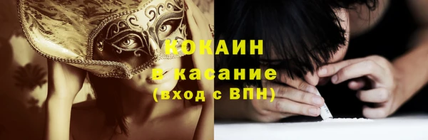 прущий лед Богданович