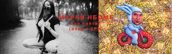 прущий лед Богданович