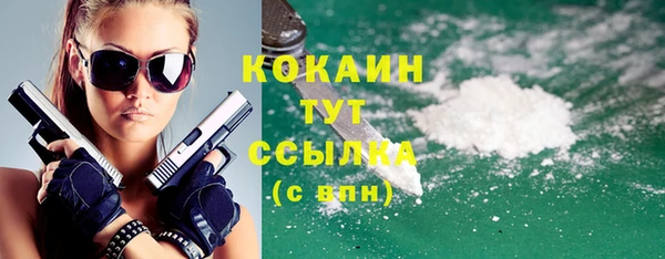 прущий лед Богданович