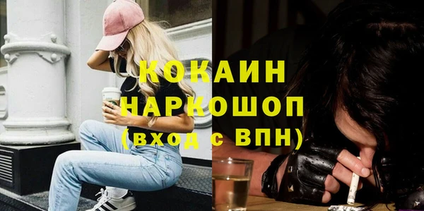прущий лед Богданович