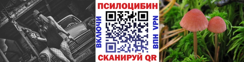 Галлюциногенные грибы GOLDEN TEACHER Бузулук
