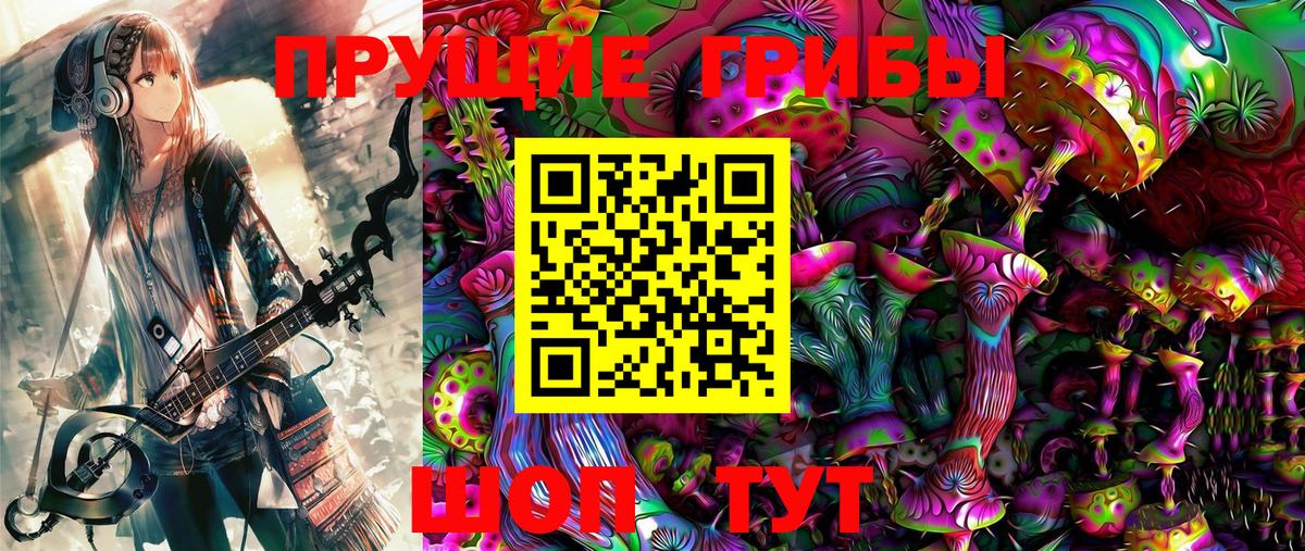 Бузулук  Галлюциногенные грибы MAGIC MUSHROOMS  Галлюциногенные грибы Psilocybe  Вход с VPN 