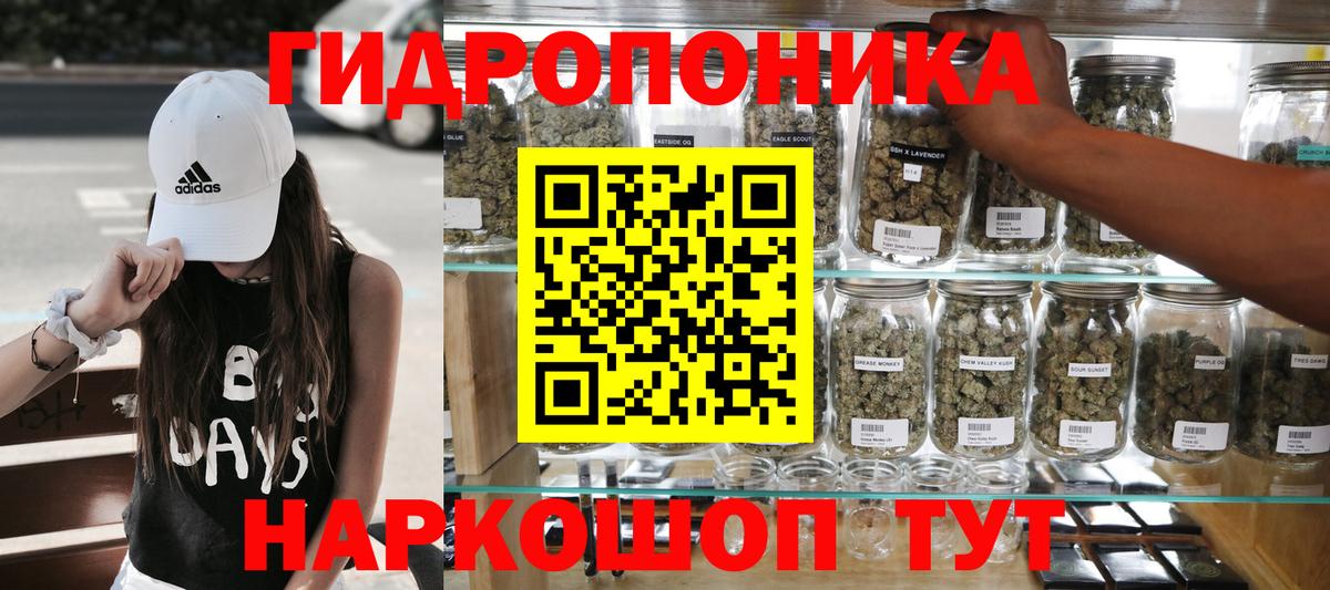 Бошки Шишки марихуана  Конопля план  Марихуана Bruce Banner  Бузулук  Вход с VPN 
